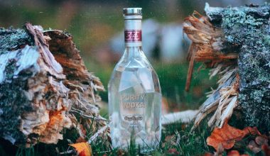 Popular Russian Vodka