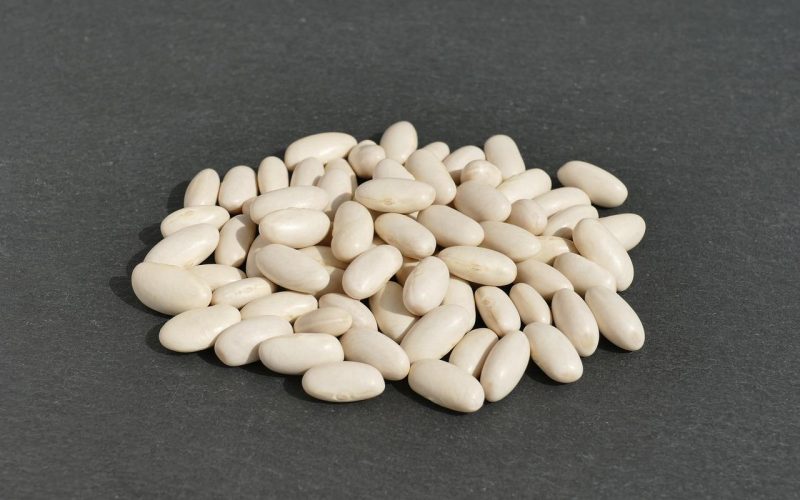 Substitutes For Cannellini
