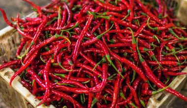 Substitutes for Cayenne Pepper