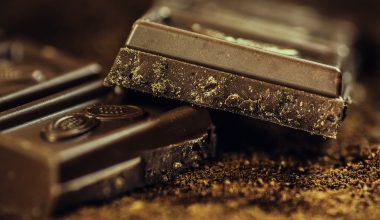 Substitutes for Cocoa
