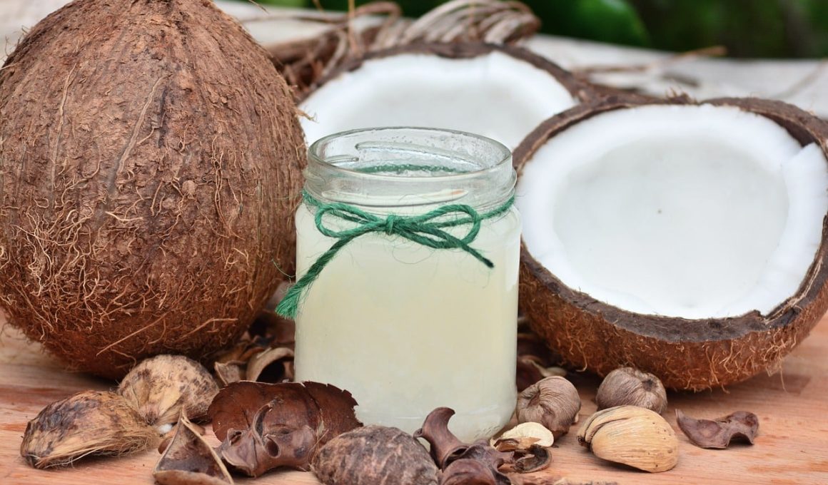 Substitutes for Coconut Oil