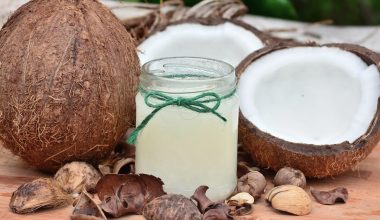 Substitutes for Coconut Oil