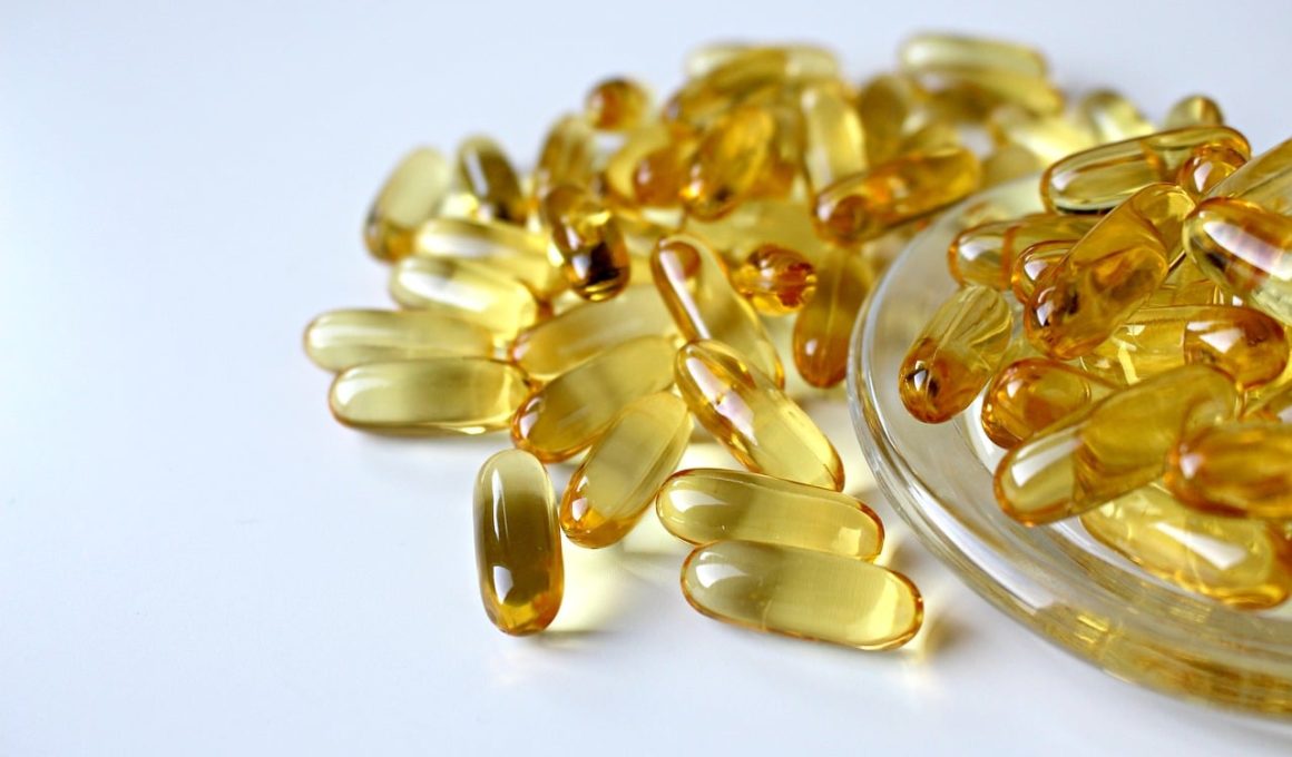 Substitutes For Fish Oil