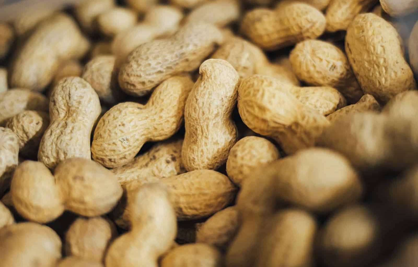 Substitutes for Peanut Butter