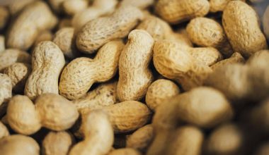 Substitutes for Peanut Butter