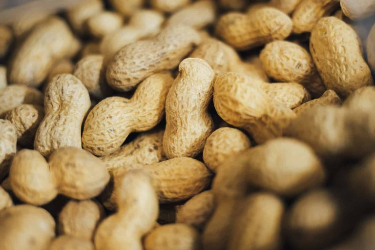 Substitutes for Peanut Butter