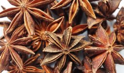 Substitutes for Star Anise