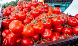 Substitutes for Tomato Sauce