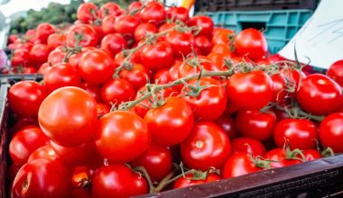 Substitutes for Tomato Sauce
