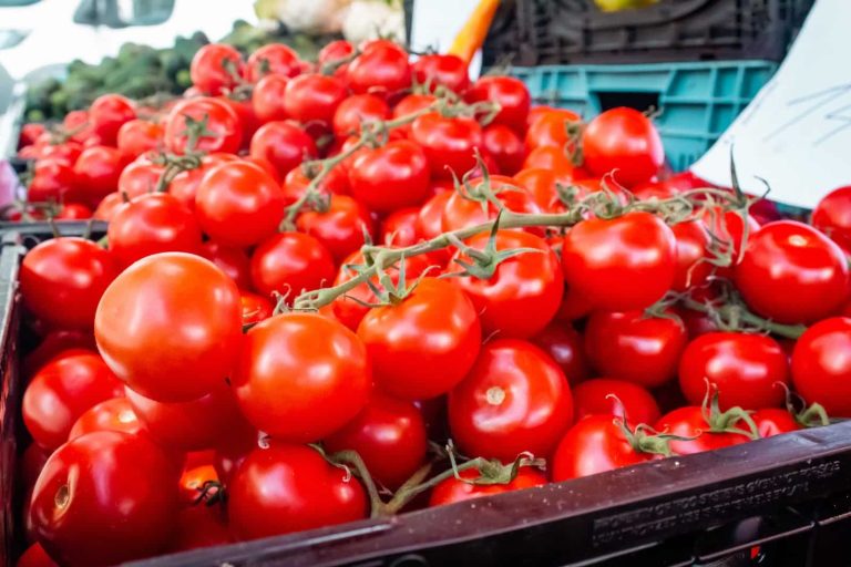Substitutes for Tomato Sauce