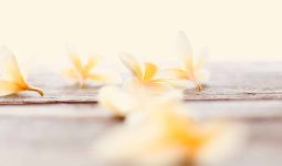 Substitutes for Vanilla Extract