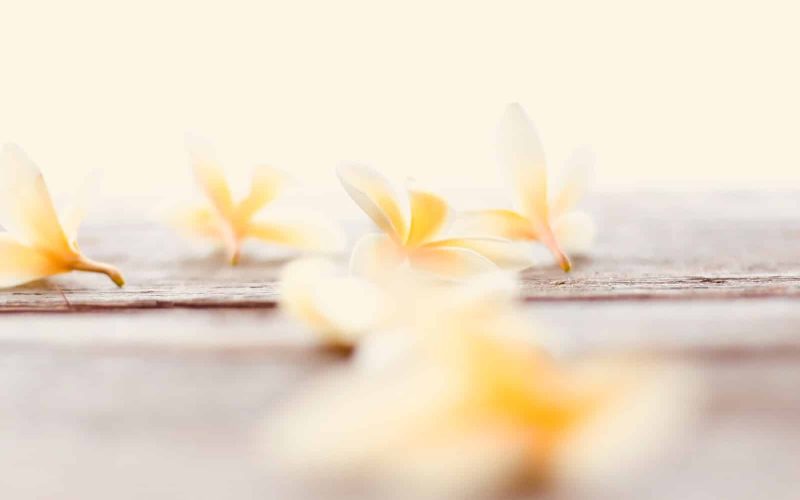 Substitutes for Vanilla Extract