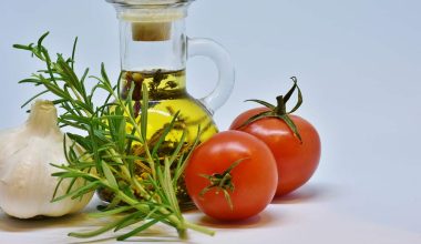 Substitutes for Vegetable Oil in Brownies