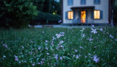 Types of Home Loans