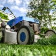 Types Of Lawn Mowers