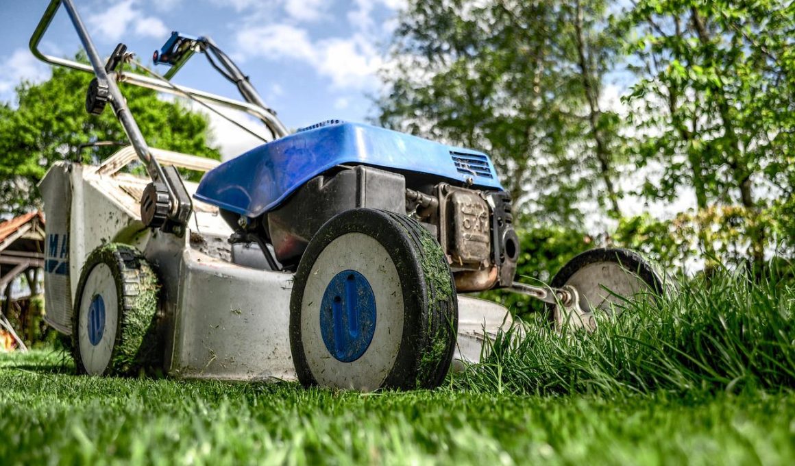 Types Of Lawn Mowers