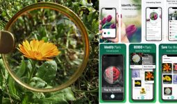 Best Android Apps For Identifying Plants