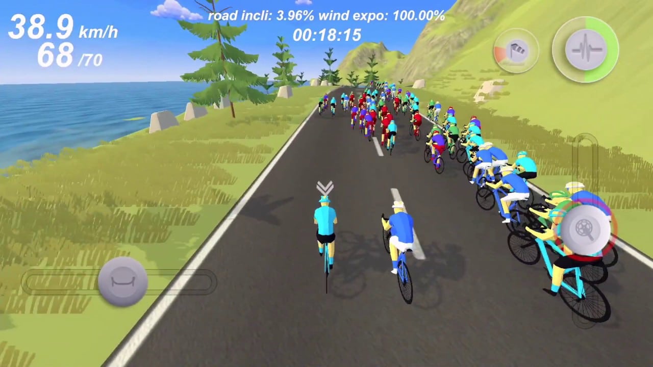 Pro Cycling Simulation