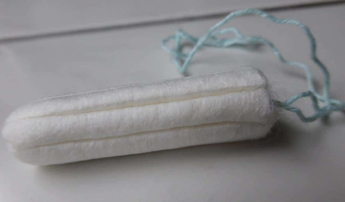 Best Tampon Alternatives