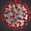 Coronaphobia the fear of Coronavirus