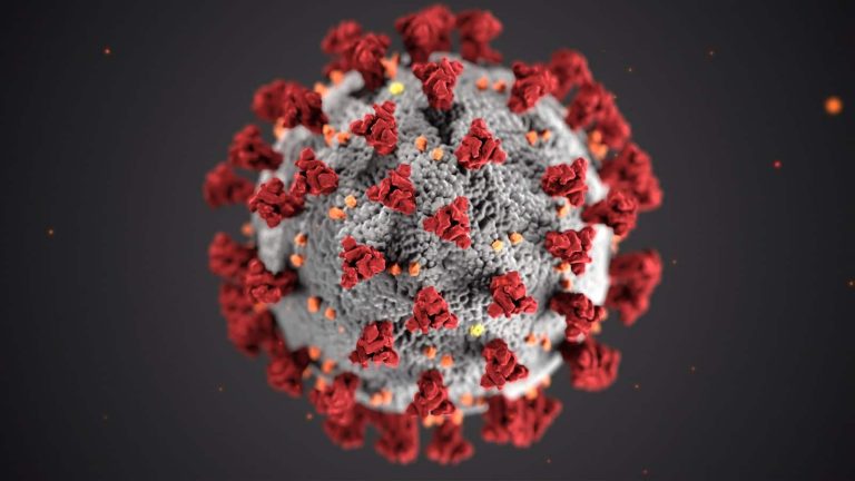 Coronaphobia the fear of Coronavirus