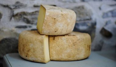 Different types of Cheese Slices