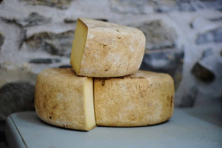 Different types of Cheese Slices