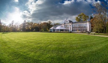 Different Types of Lawn Grass