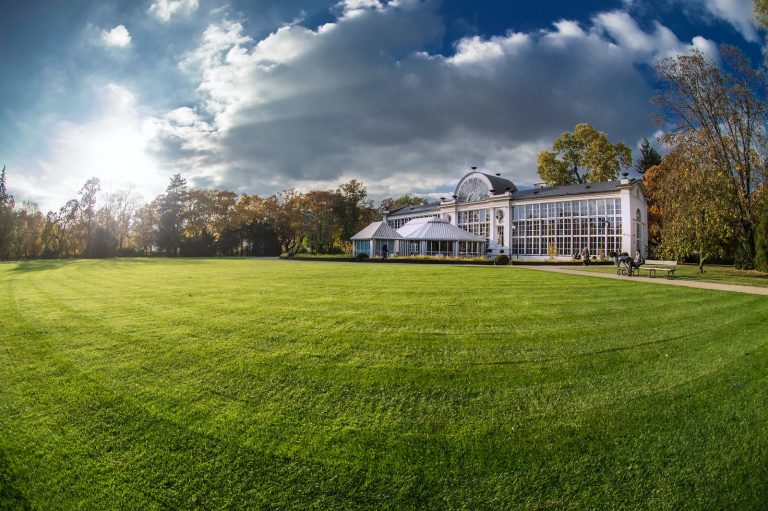 Different Types of Lawn Grass