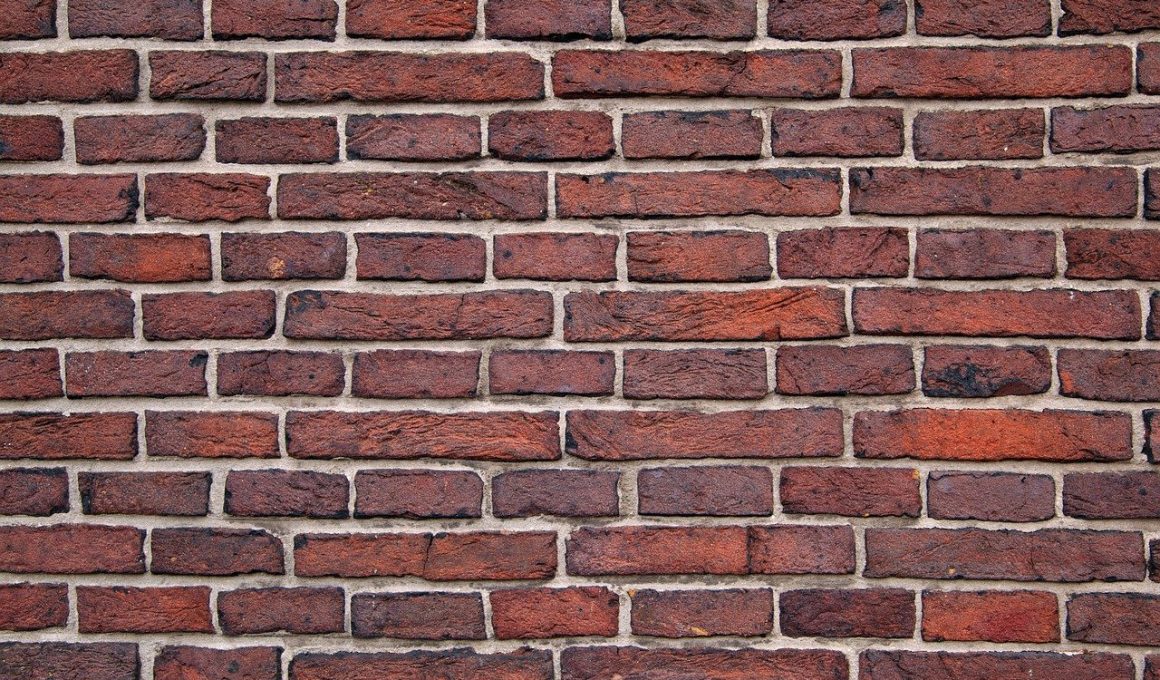 Different Types of Wall Textures