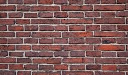 Different Types of Wall Textures