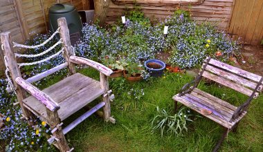 Best Oil for Outdoor Wood Furniture