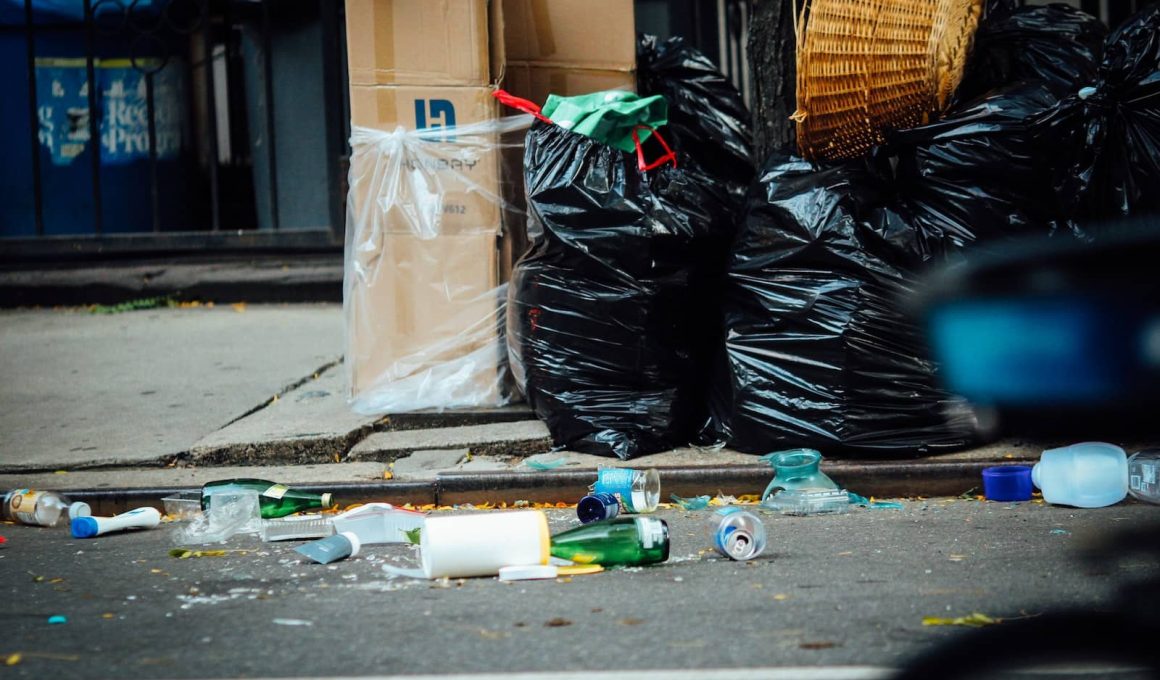 Biodegradable Trash Bags