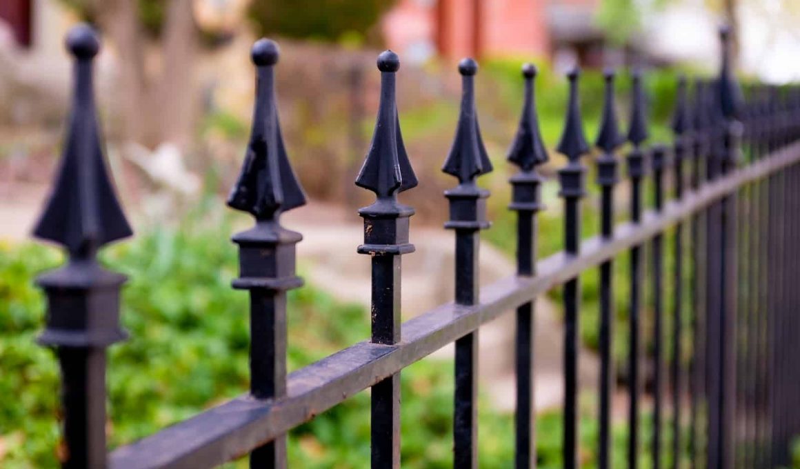 Fence Decorating Ideas