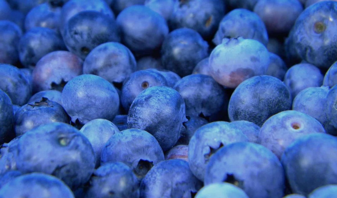 Foods That Are Blue