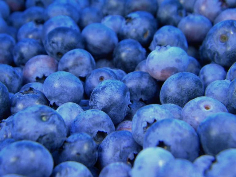 Foods That Are Blue