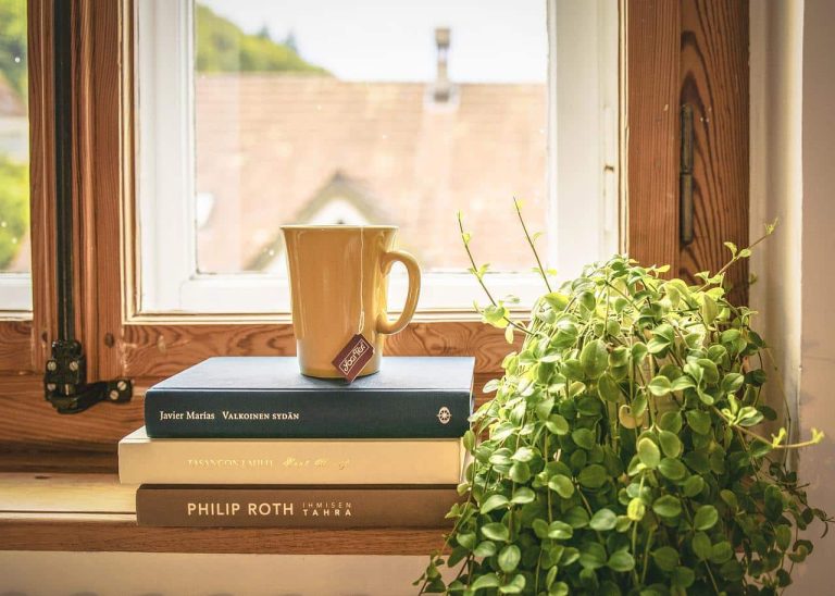 Houseplant Ideas