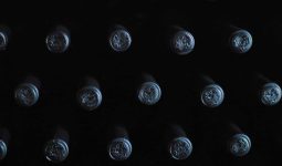 How Many Bottles Are in a Case of Wine