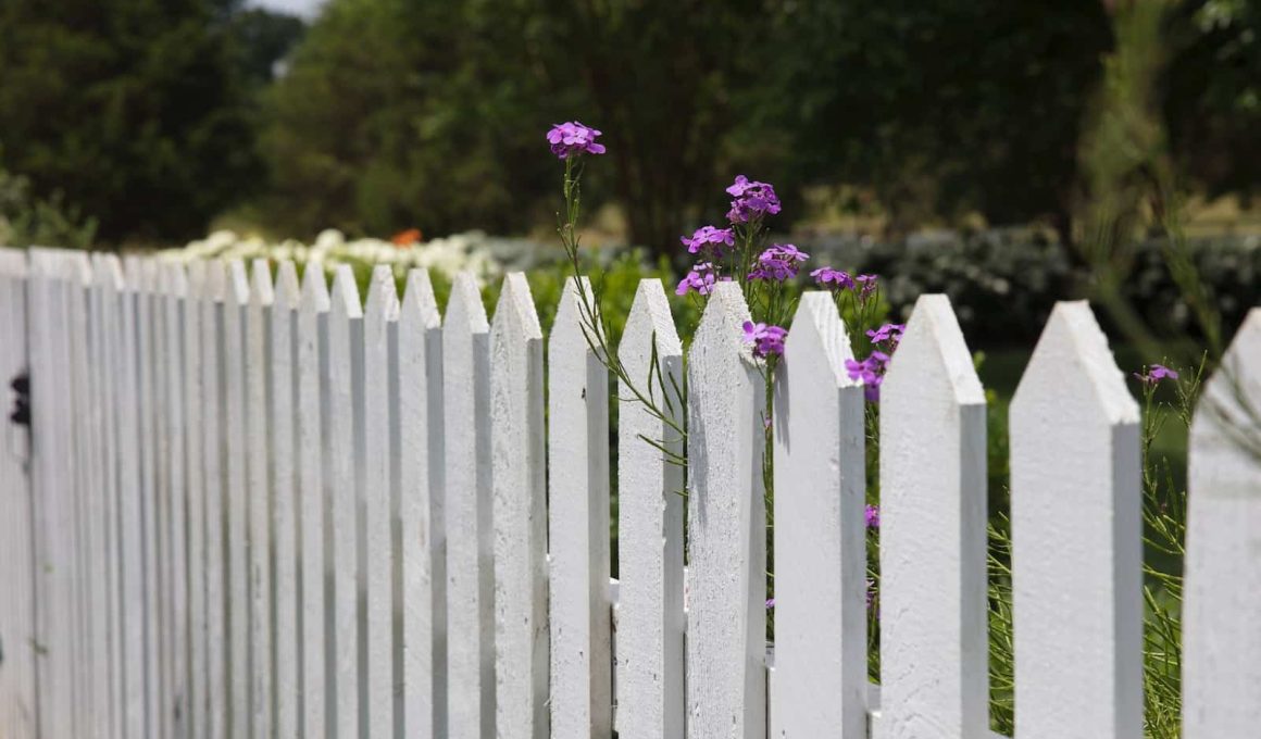 What to Plant Along Fence Line