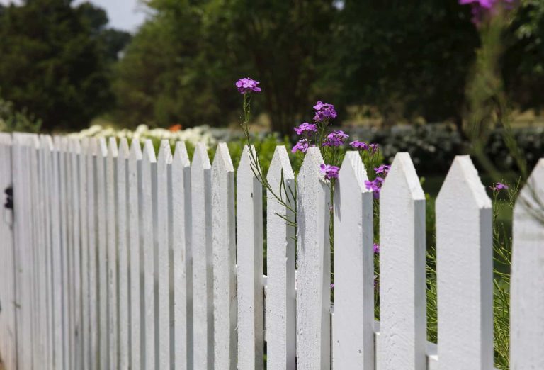 What to Plant Along Fence Line