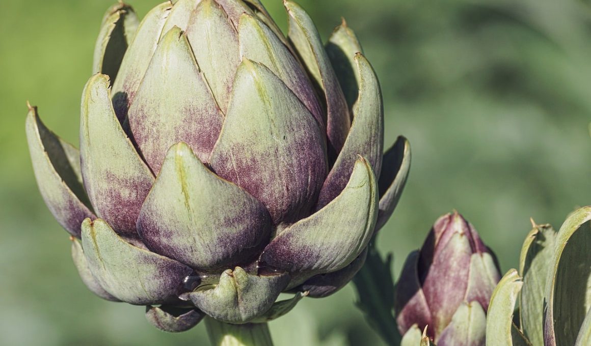 What to Serve With Artichokes