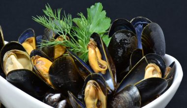 What To Serve With Mussels