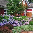 Different Types Of Shrubs In Ohio