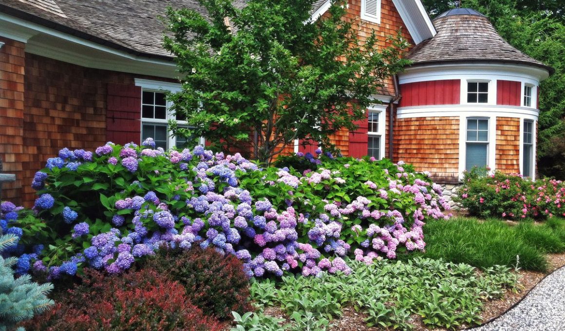 Different Types Of Shrubs In Ohio