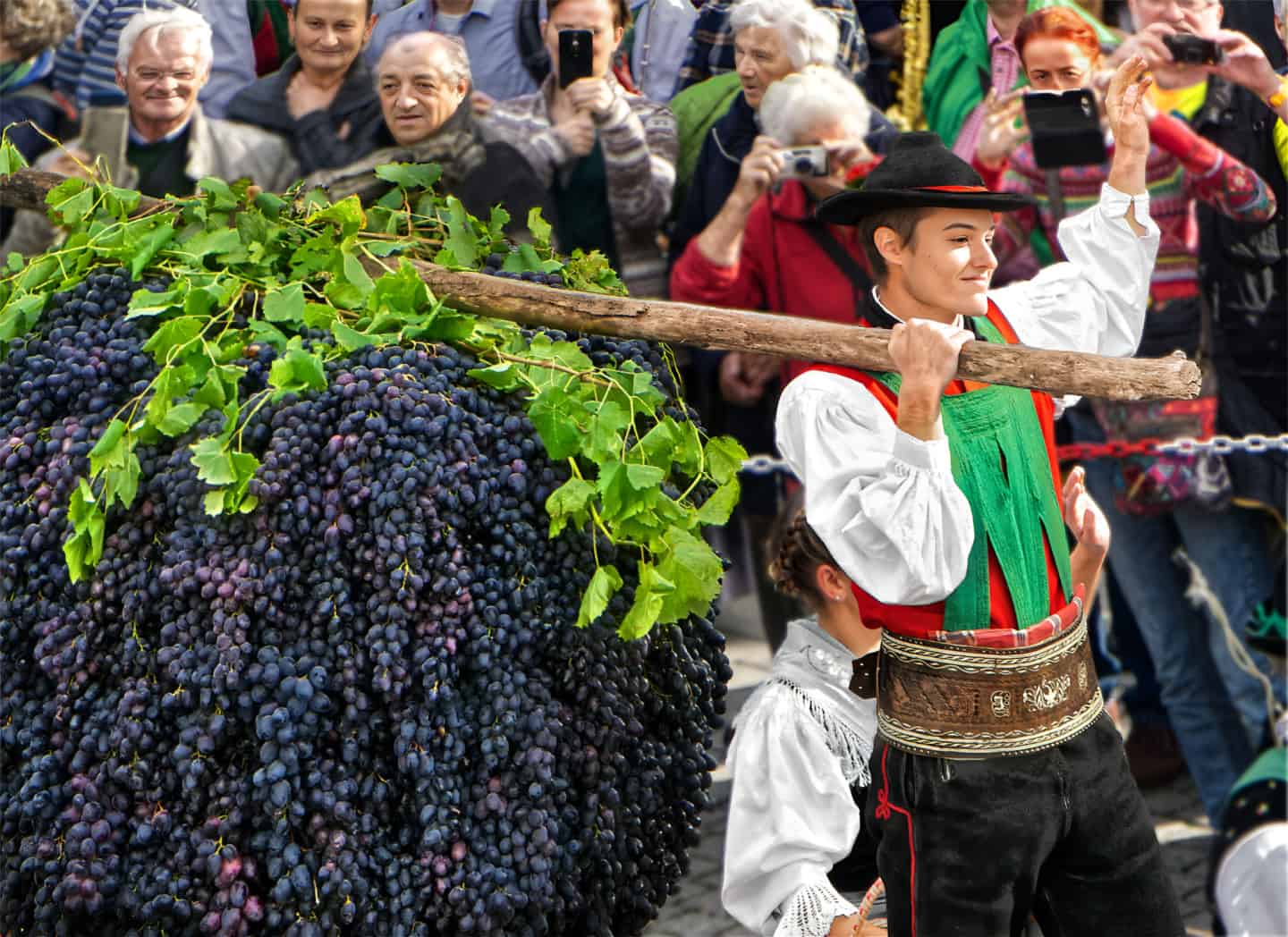 Grape Throwing Festival