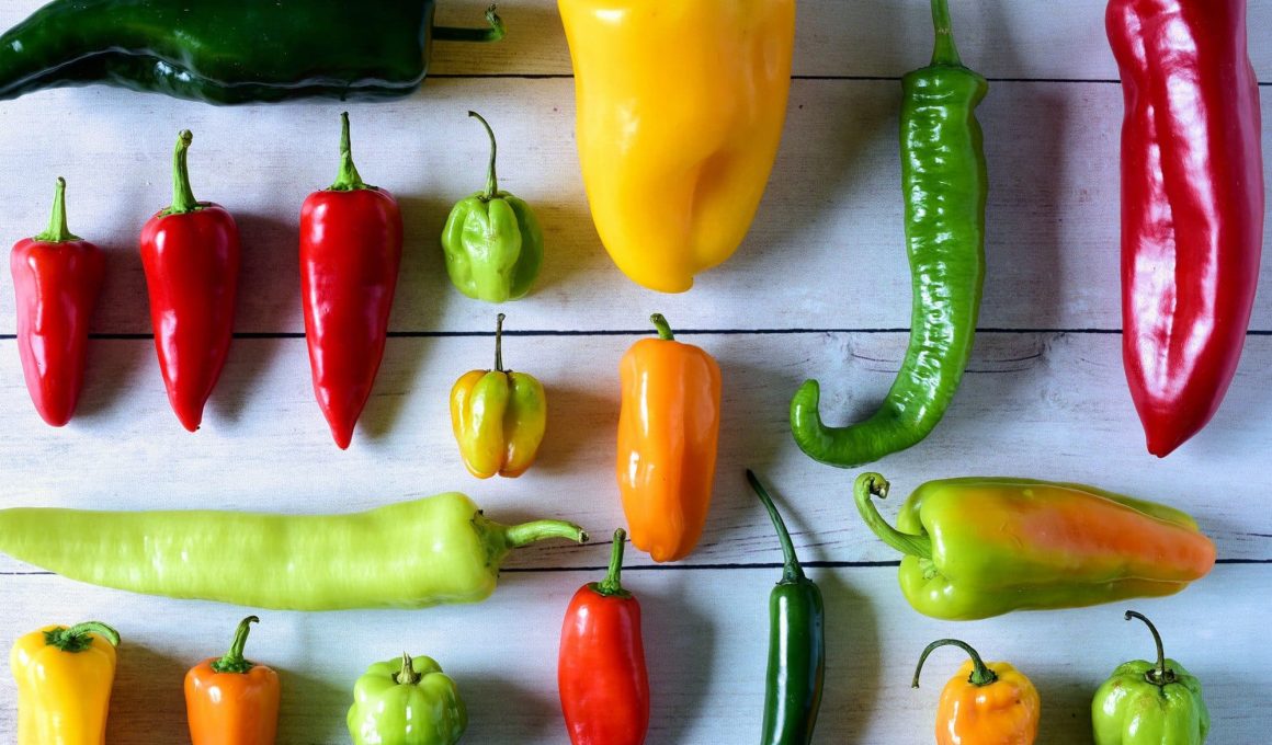 Hottest Peppers In The World