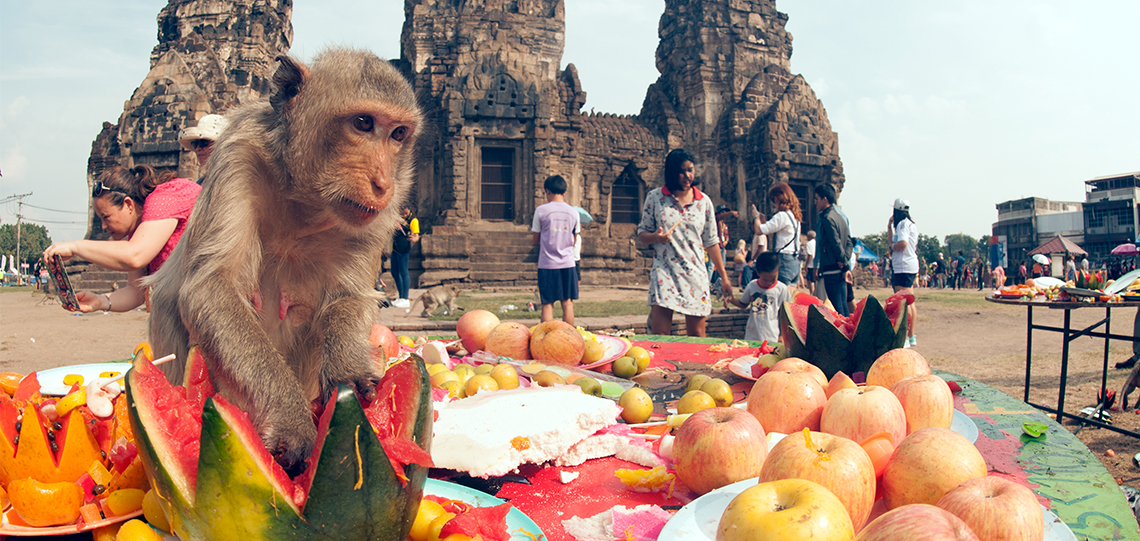 Monkey Buffet Festival