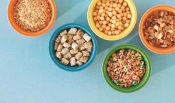 What Are Fortified Foods