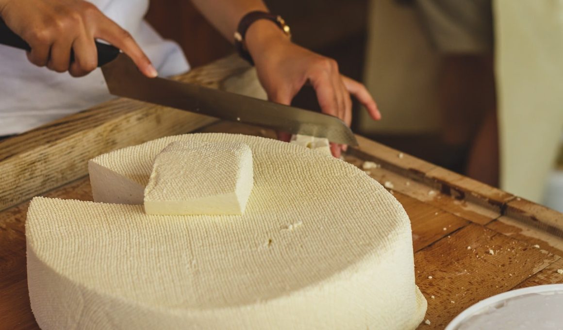 Different Types of Cheese Knives