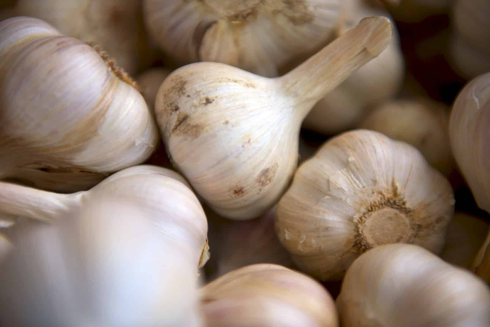 Garlic Foods You Should Never Store in the Refrigerator